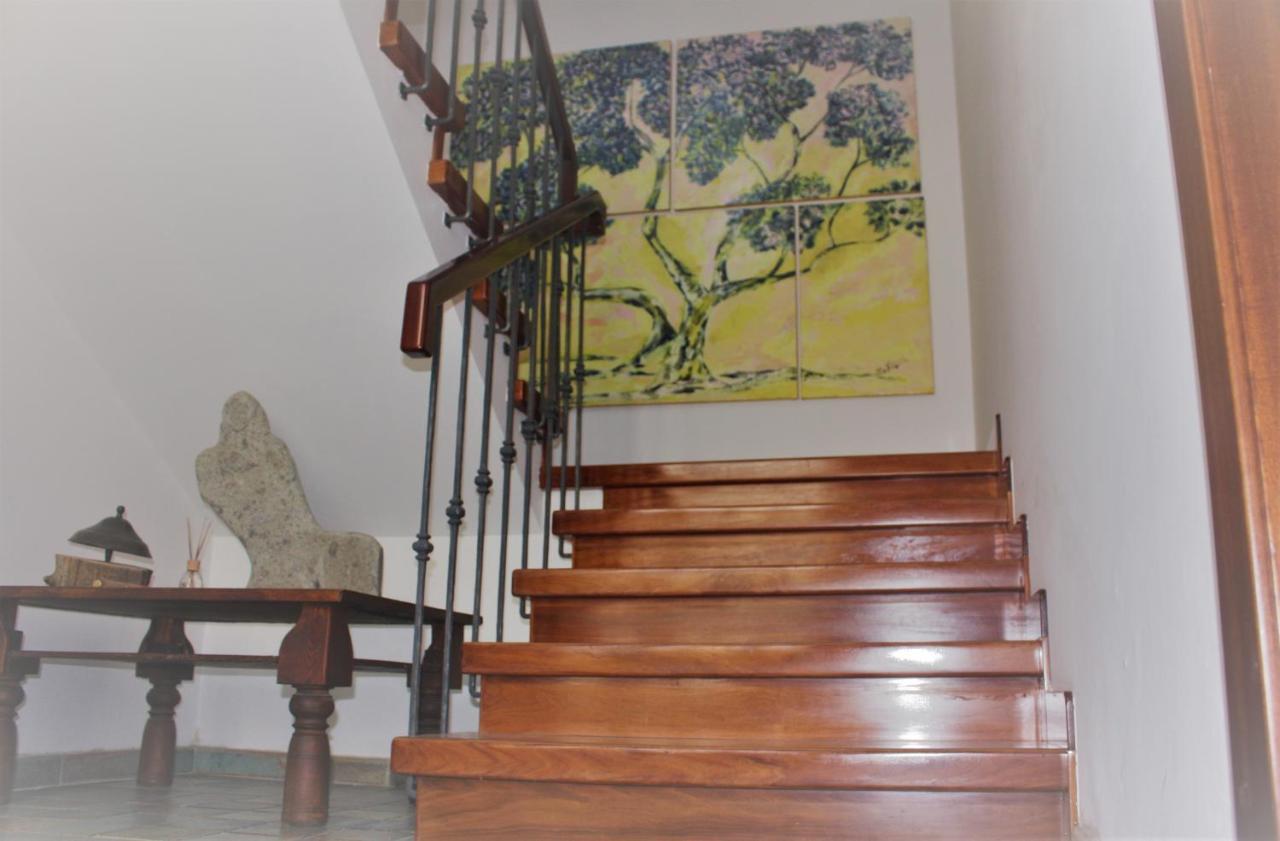 Maruru B & B Dell'Arte チヴィタノーヴァ・マルケ エクステリア 写真